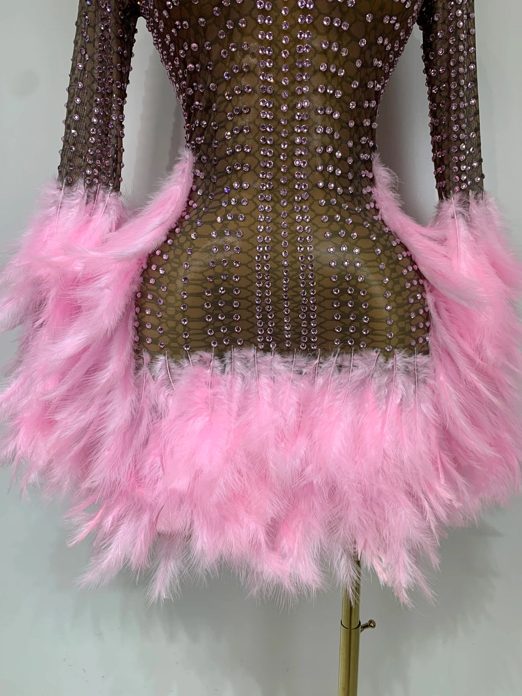 Abbi Mesh Feather Mini Dress