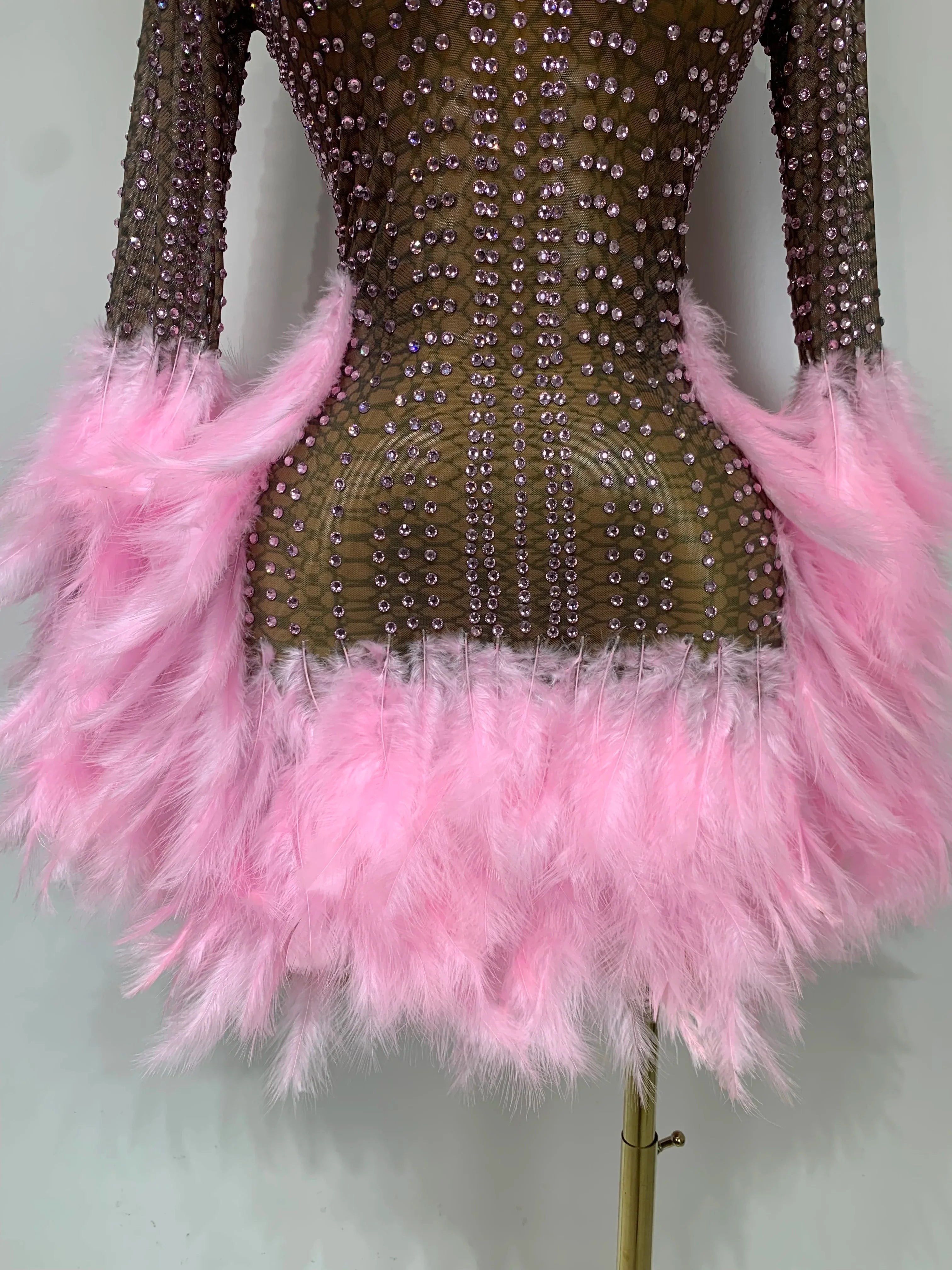 Abbi Mesh Feather Mini Dress