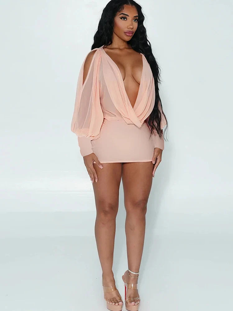 Wilna Mesh Mini Dress