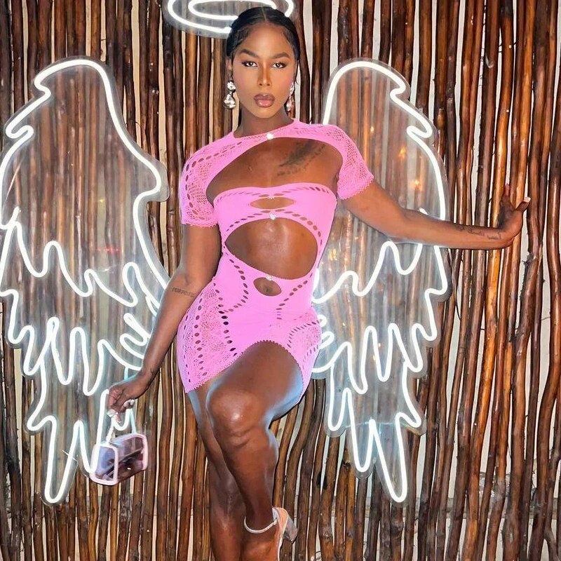 Mesh Hollow Out Stretchy Mini Dress Pink