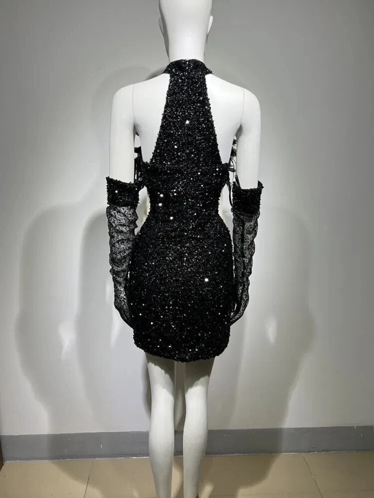 Swan Turtleneck Sequins Dress