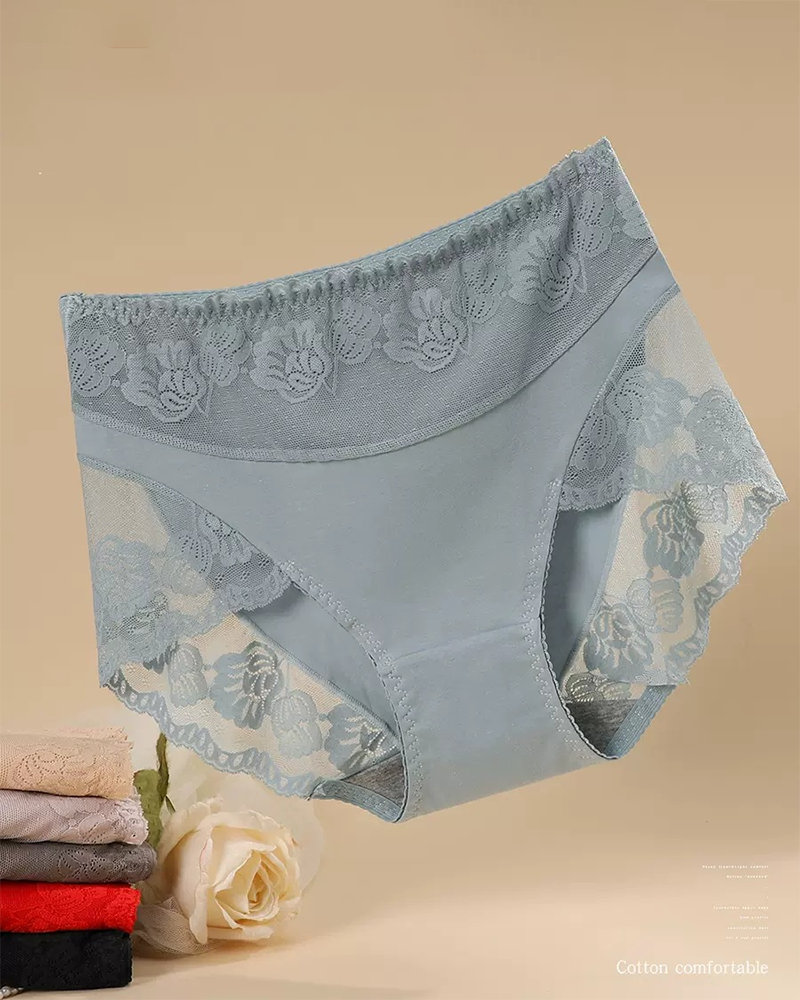 Sexy Lace Breathable Plus Size Tummy Control Briefs