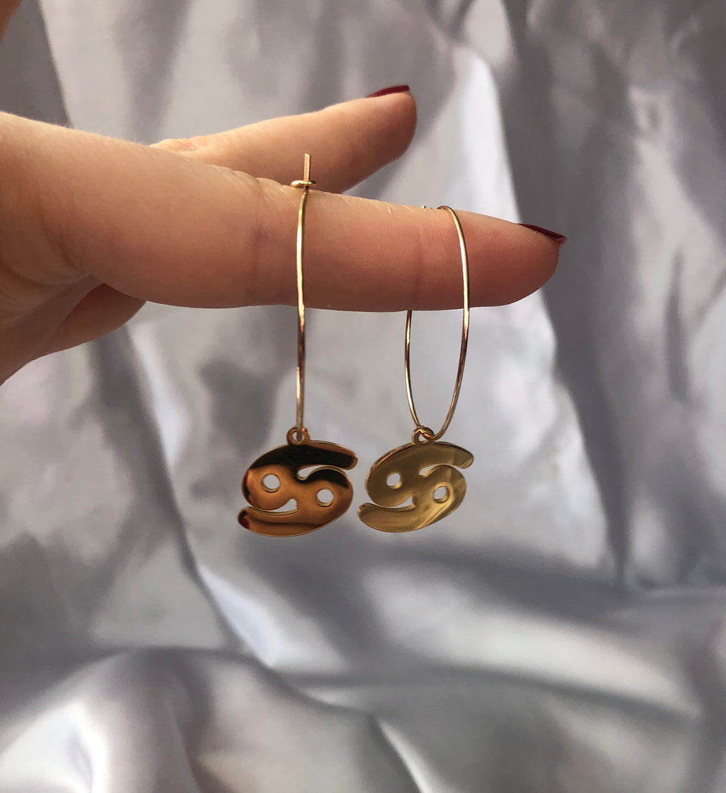 Zodiac sign pendant hoops