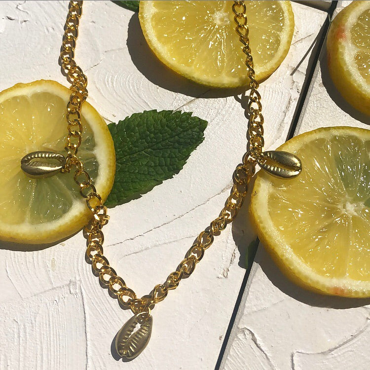 Seashell pendant necklace