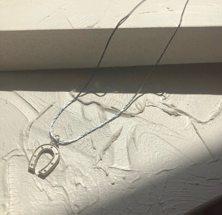 Horseshoe necklace