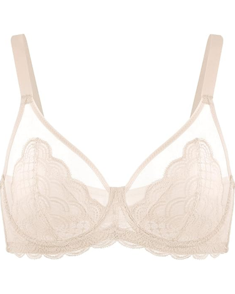 Sexy Lace Sheer Mesh Bra