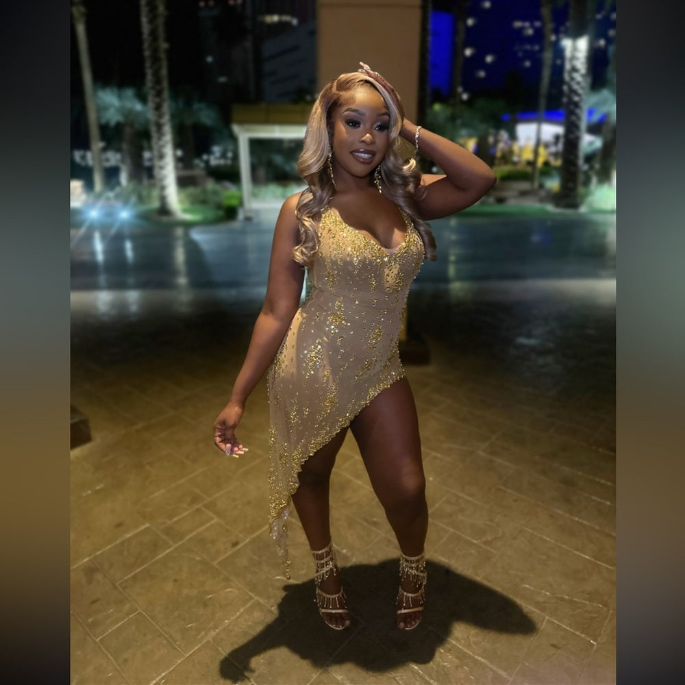 Isabella Mesh Dress